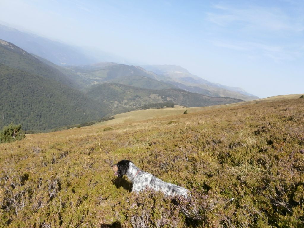 Lozzi Des Travers Du Quercy